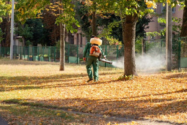 Pest Control for Restaurants in Lakeport, TX